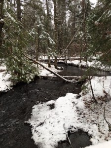 IMG_3073